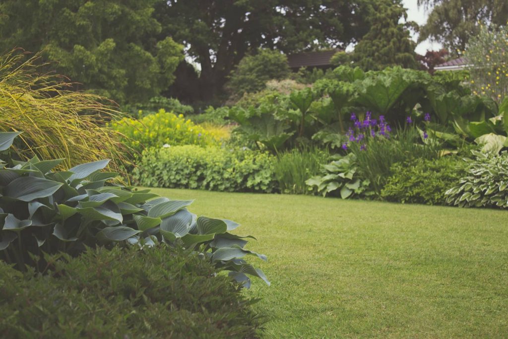 jardin entretenu, fleurs, pelouse